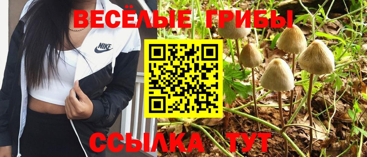 Галлюциногенные грибы GOLDEN TEACHER Рассказово